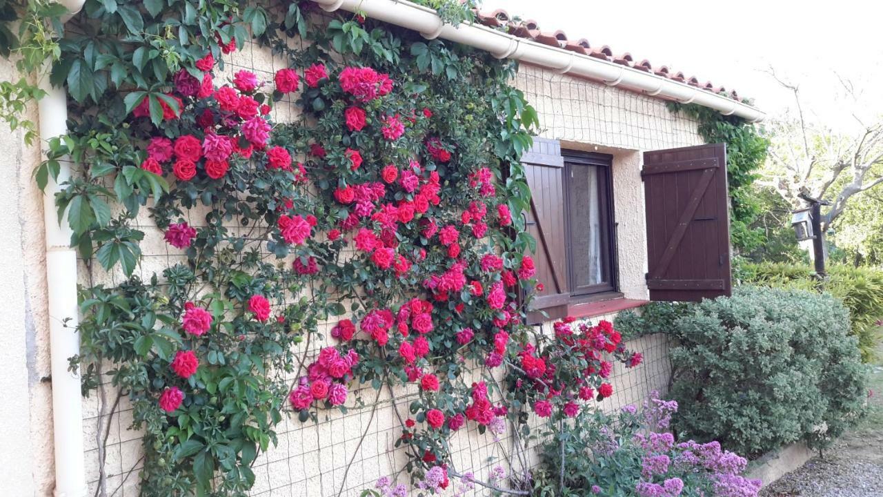 La Pantoufle Verte Montauriol  Экстерьер фото
